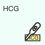 HCG值如何判断早期胚胎的成长质量