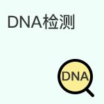 DNA产前检测胎儿的遗传信息