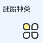 囊胚、鲜胚、冻胚的区别和成功率