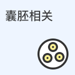 胚囊相关知识